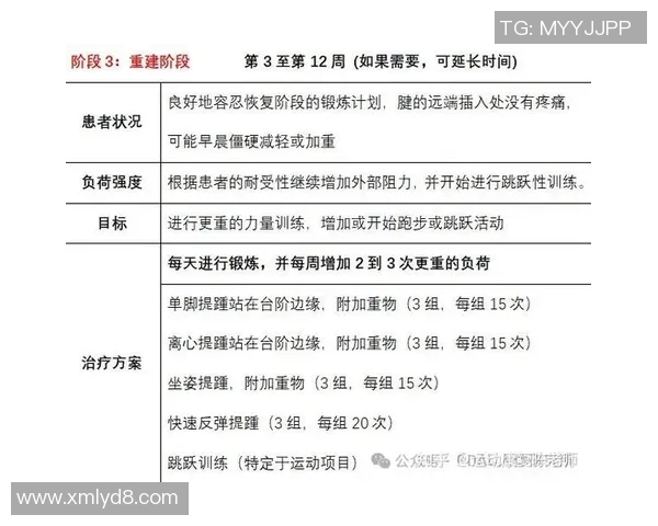 运动损伤预防与康复策略研究:从基础理论到实践应用分析