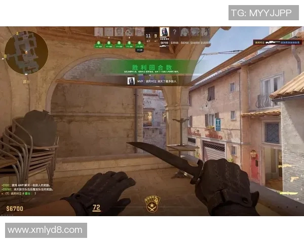V5在CSGO阵地战中的表现分析与战术得失探讨 V5在CSGO阵地战中的表现分析与战术得失探讨