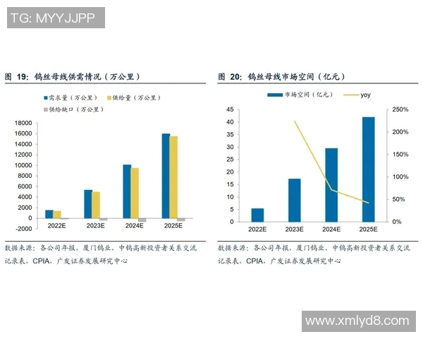 北京飞盘队边路渗透战术革新探索与实践分析