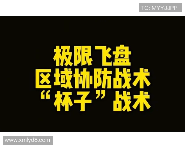 广州飞盘队反击战术分析与成败经验分享