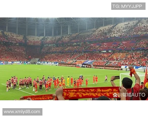 中国足球明星告别赛场的荣耀与遗憾回顾 中国足球明星告别赛场的荣耀与遗憾回顾