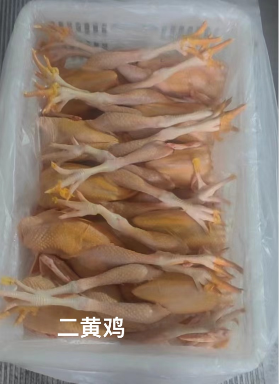 金年会金字招牌草黄涅槃：从苏北鸡舍到云端货架的数字农脉(图8)